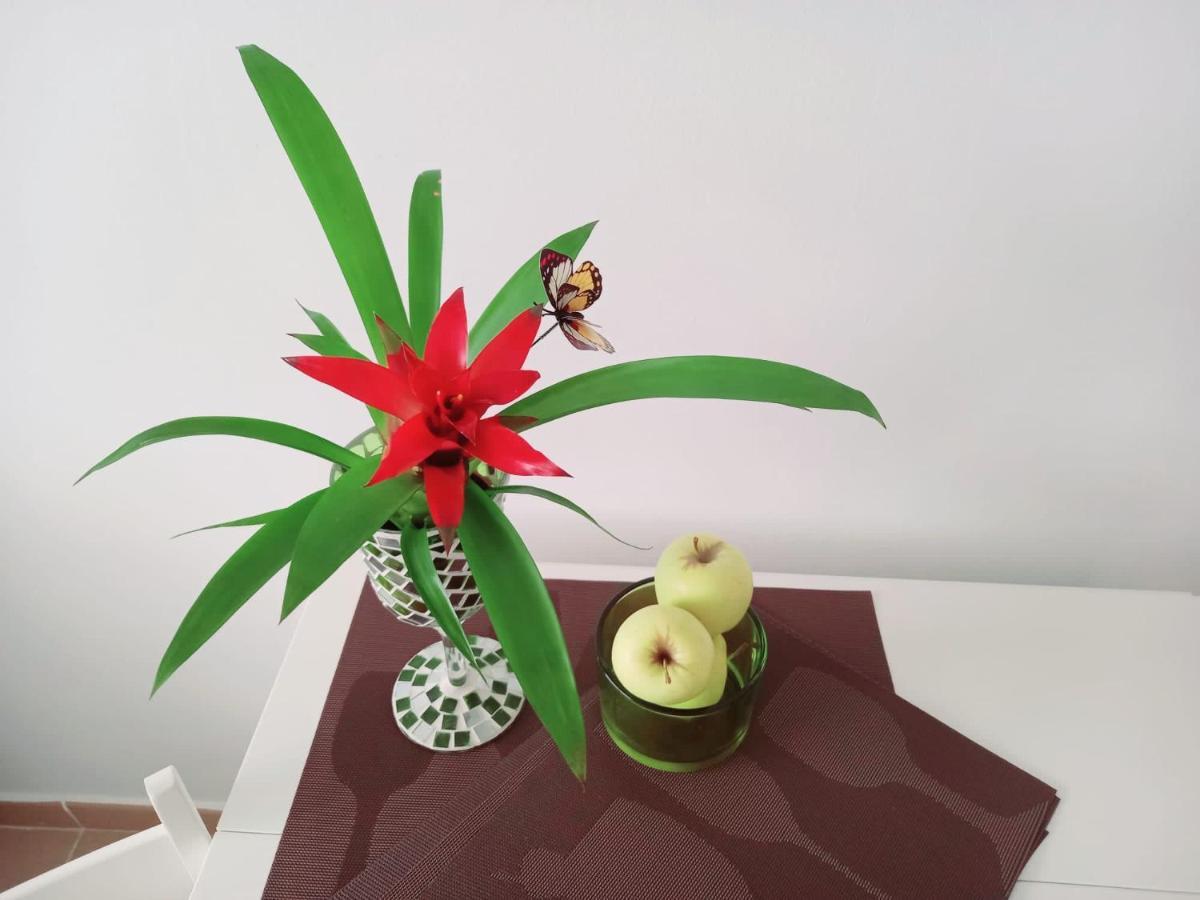 Apartament Casablanca Sardina Zewnętrze zdjęcie